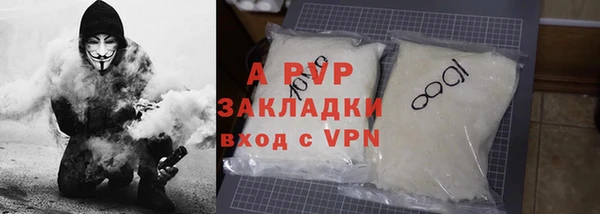 PSILOCYBIN Вязьма