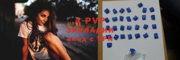 PSILOCYBIN Вязьма