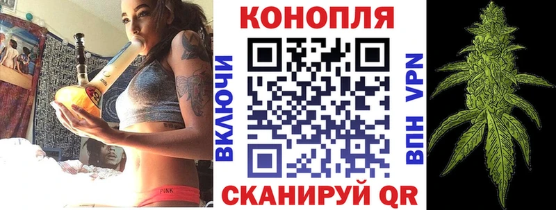 Канабис семена  Заводоуковск 
